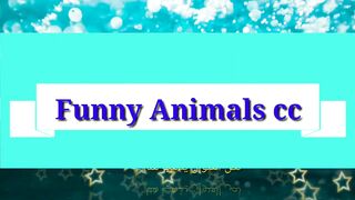 Funny cats & Dogs 2023 compilation???????? ( PART 2 )