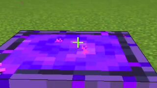 Minecraft ticktok hacks