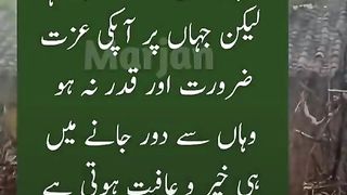 ????True_Lines_✅