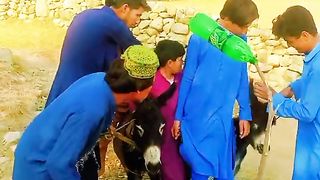 Funny video