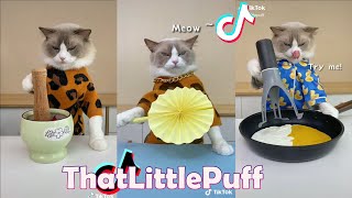 Funny Animal Videos 2023 ???? - Funniest Dogs And Cats Videos ????????#37