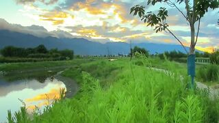 By the river in the countryside, I recall my childhood