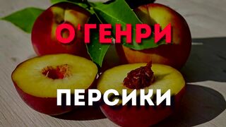 О.Генри.Персики.Аудиокнига.