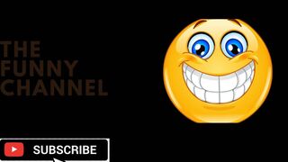 Funny Animal Videos 2022 ???????? / Cute and Funny animals Videos Compilation vol 02