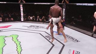 Лутшие нокауты ударом с разворота в UFC