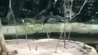 погоня за скалолазом