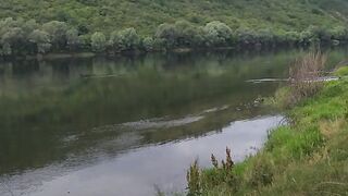 На тарзанці