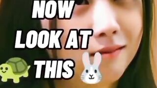 CUTE AND FUNNY MOMENTS BLACKPINK KIM JISOO AND KIM JENNIE 2022