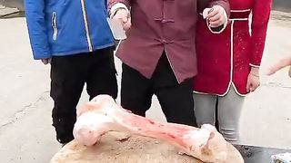 Fuuny video