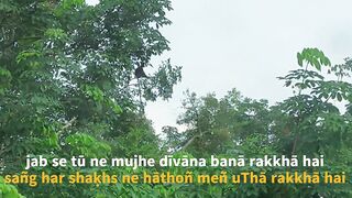jab se tū ne mujhe dīvāna banā rakkhā hai  hakeem nasir poetry