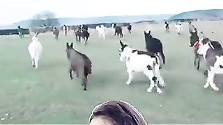 نواز شریف