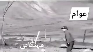 Funny video
