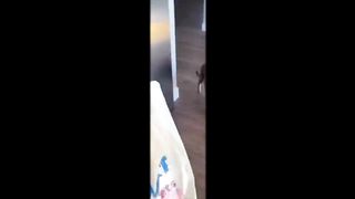 ???? OMG TikTok compilation