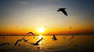 RELA????????XING Sleep Music video • Deep Sleeping Music, Relaxing Music, Stress Relief, Meditation Music