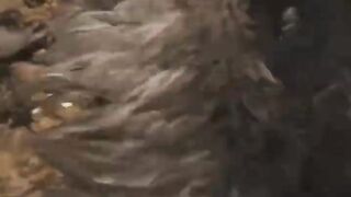 WO LONG: FALLEN DYNASTY boss