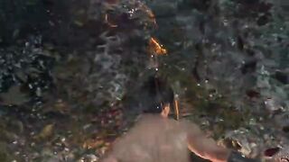 WO LONG: FALLEN DYNASTY new game