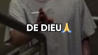 stipude
