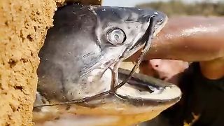 Fisherman-Animal-Lover-Short-Amazing-Dre_6