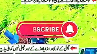 6baty hamasha yad rakhna