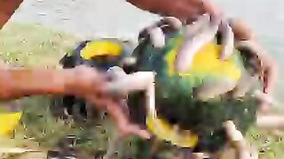 Fisherman-Animal-Lover-Short-Unbelievabl_4