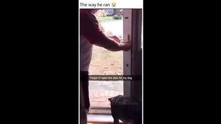 Instant Regret | Fails Compilation | Funny Fails | None Sense 2.0