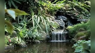 (40 min)- Waterfall screensaver everyone loves and has been waiting for