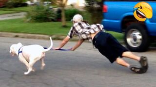 I bet you will laugh | Funniest Cats and Dogs ever #2 | JDIZ Fun