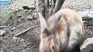 بے شک حفاظت فرمانے والے اللہ تبارک و تعالی ہی ہیں