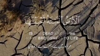 تلاوت قرآن پاک سنیں  اور ہمارے چینل کو سبسکرائب کریں شکریہ