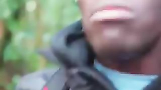 This forest is wild????