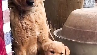 Awesome video ???? Bohat hi Khooobsurat Sath he ????????