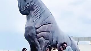 Markhor funny video