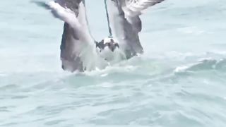 Awesome video travel to the voyage ☺️
