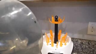 Amazon gadgets