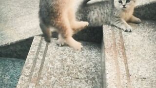 ,#cute