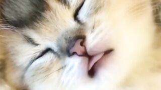 #cute video