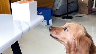 #beautiful video
