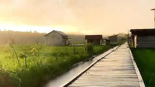 #beautiful video