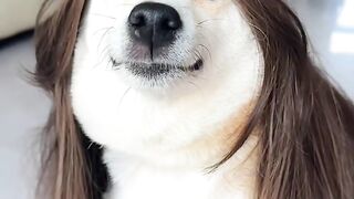 #funny video
