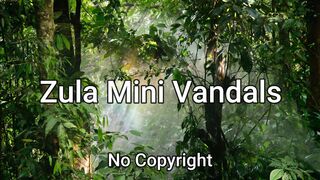 Kind of a Party | No Copyright Music