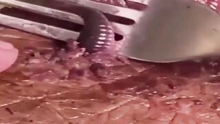 OMG ! Man finds worm crawling out of food