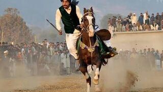 #Horses Riding part 19#jhamra#darbar#kaly#shah