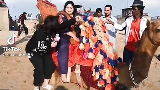 Funny Videos