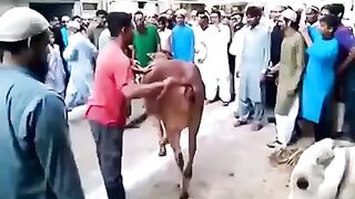 Pakistani people