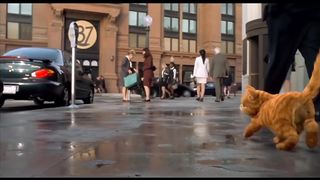 Garfield CLIPS (PART2) 2004