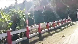 Bangladesh## Nature
