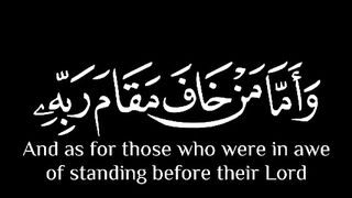 Quran teaches peace of life