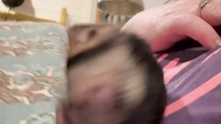 monkey sleeping funny video