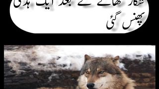 Wolf and Heron (bgla) story