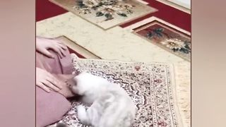 Mash Allah cute